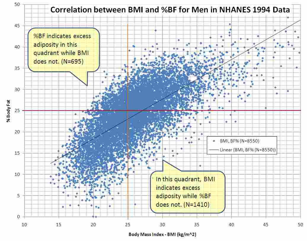 What a BMI Calculator Does: The Quetelet Formula, WHO Categories, and Rounding Rules
