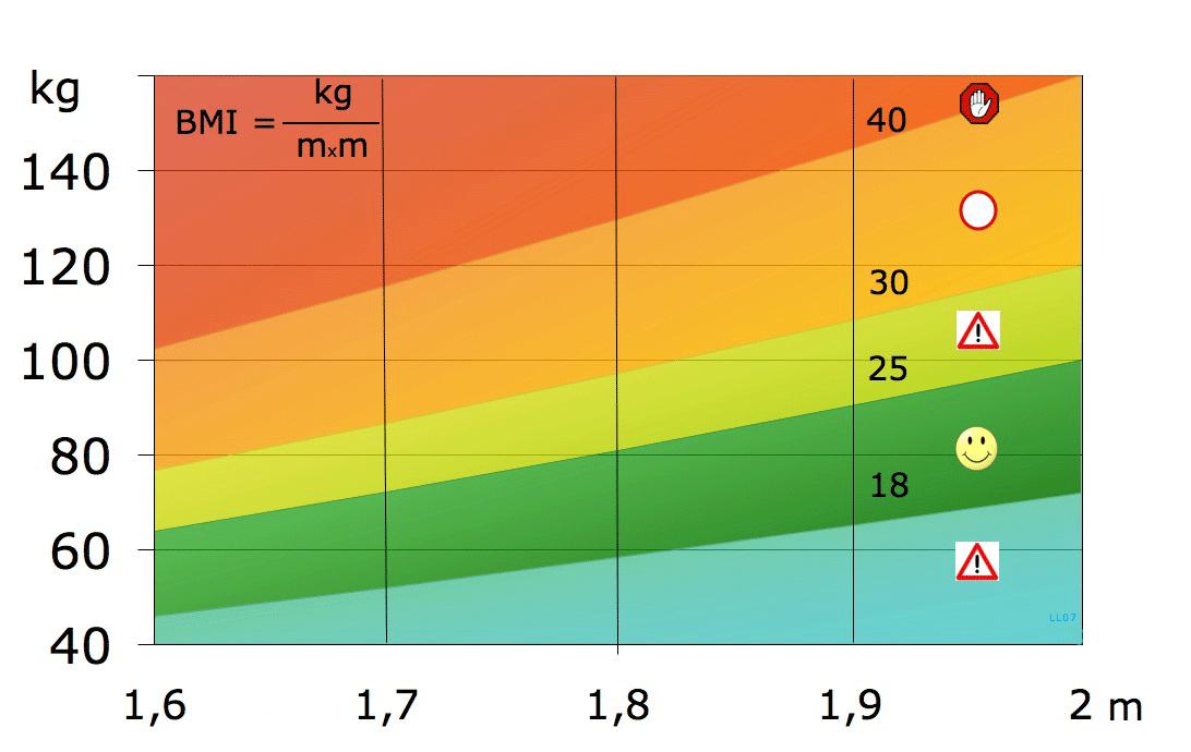 body mass index